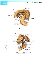 Sobotta Atlas of Human Anatomy  Head,Neck,Upper Limb Volume1 2006, page 69